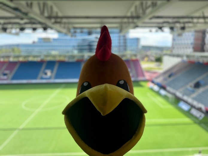 Scan Wingman - vinn nuggets!